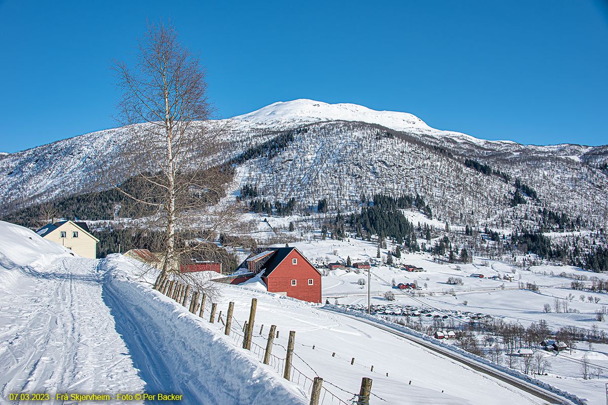 Frå Skjervheim