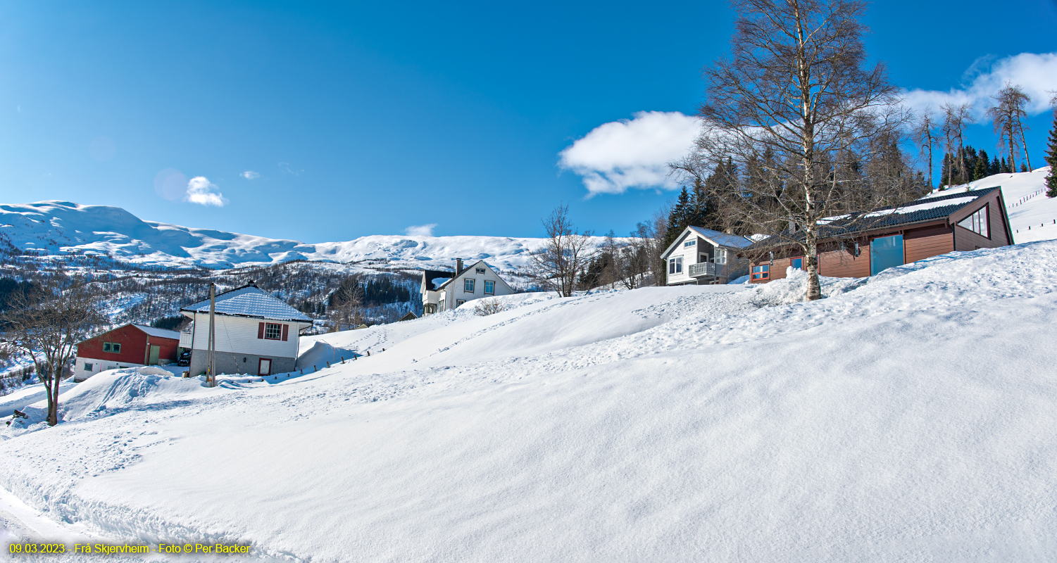 Frå Skjervheim