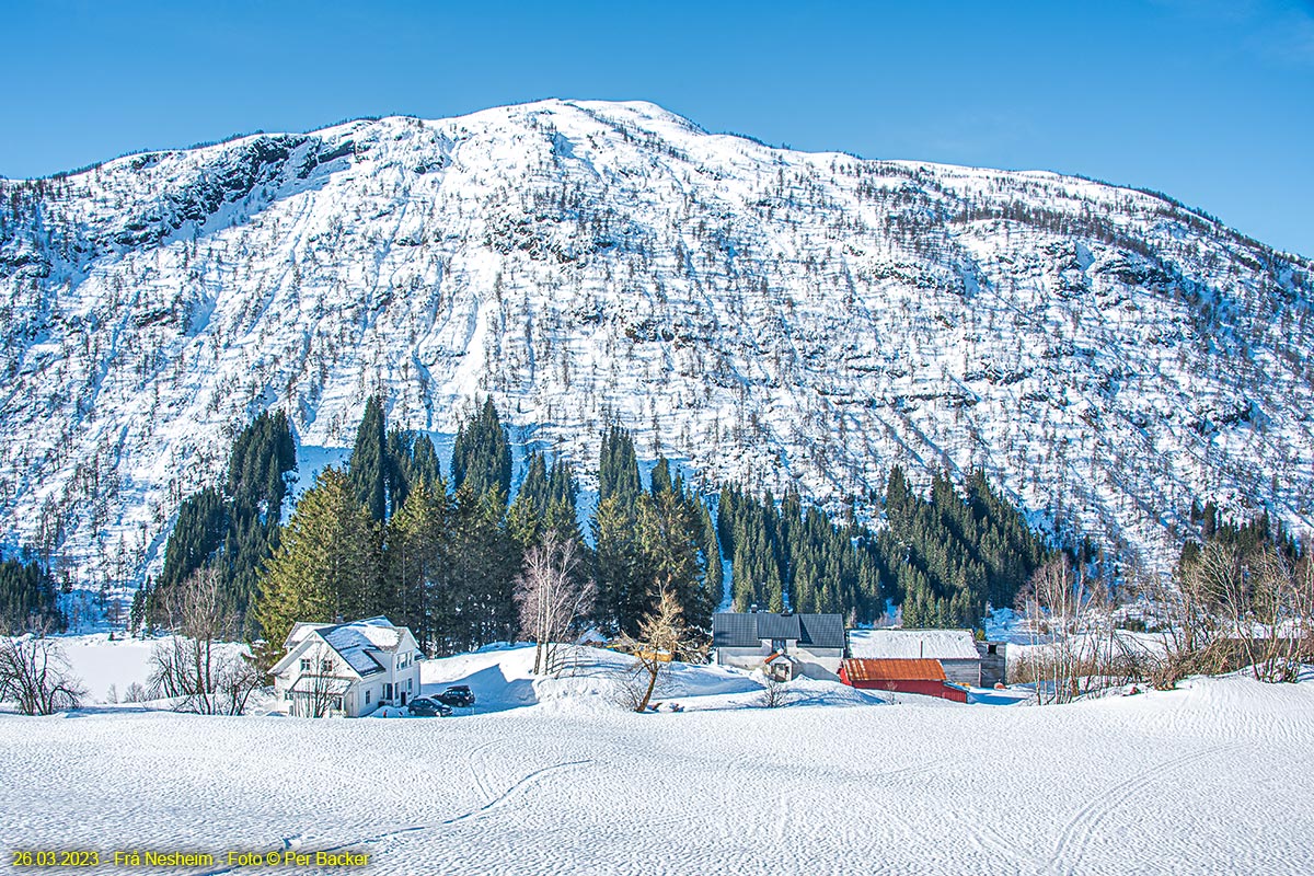 Frå Nesheim