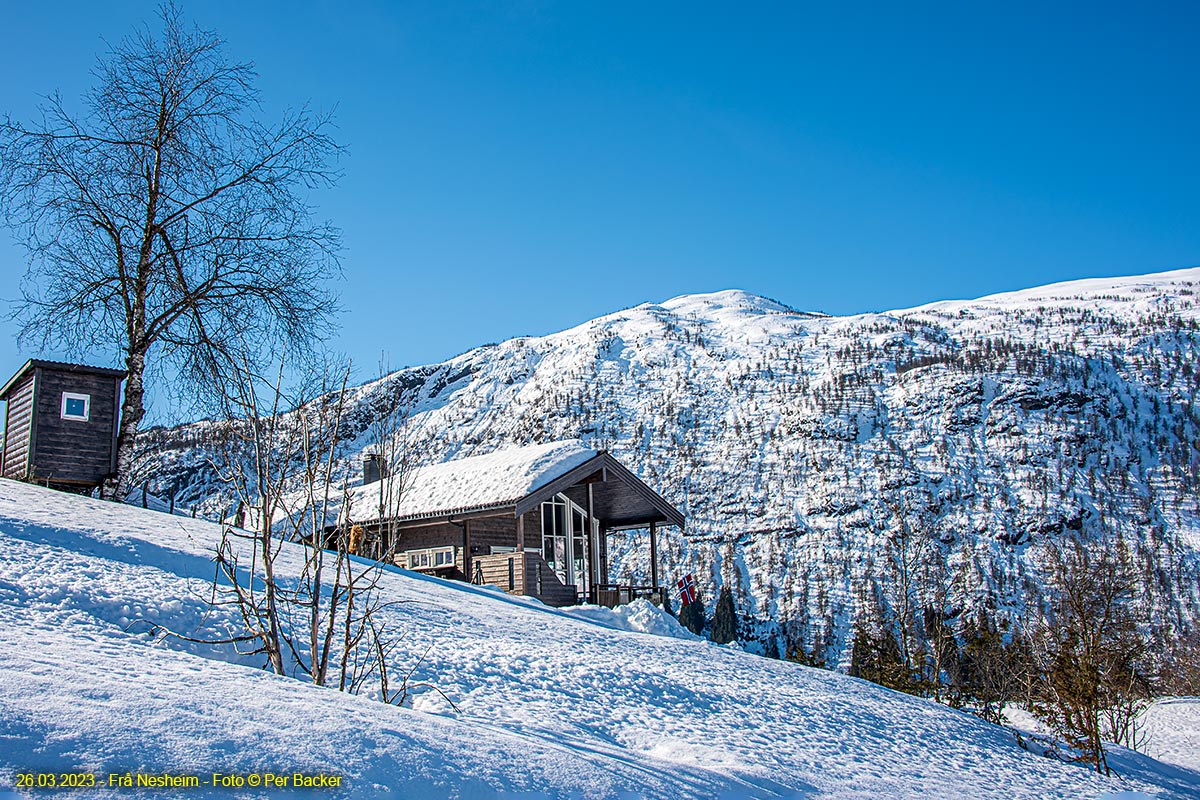 Frå Nesheim