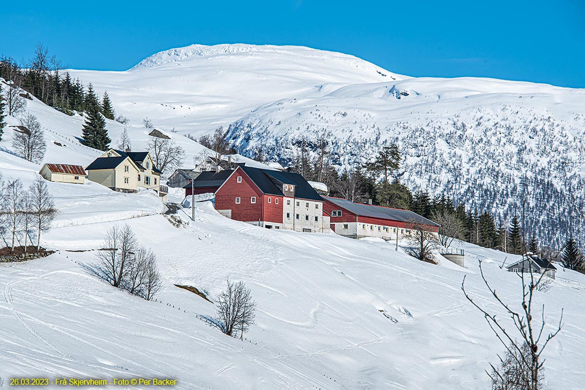 Frå Skjervheim