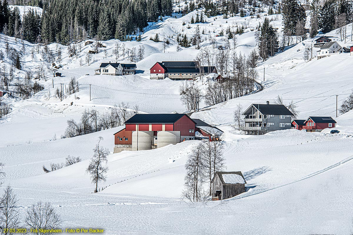 Frå Skjervheim