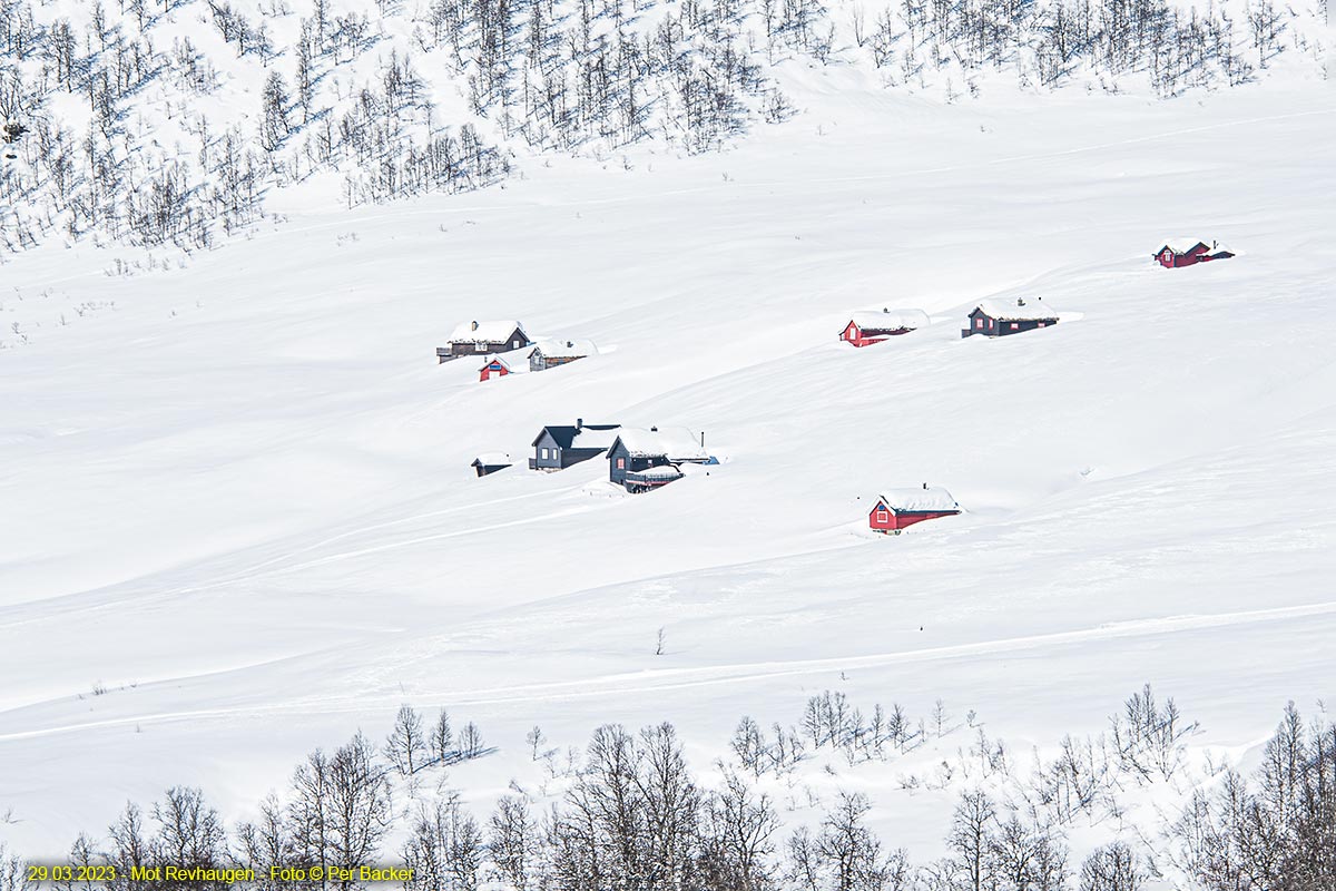 Mot Revhaugen