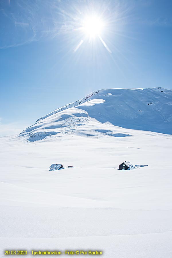 Tjødnarhovden