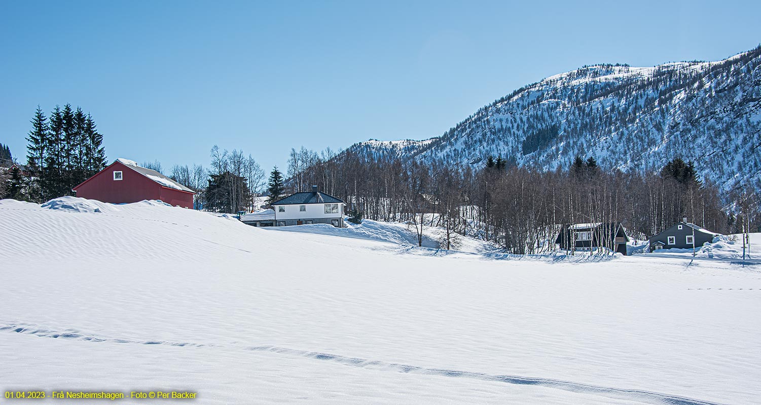 Frå Nesheimshagen