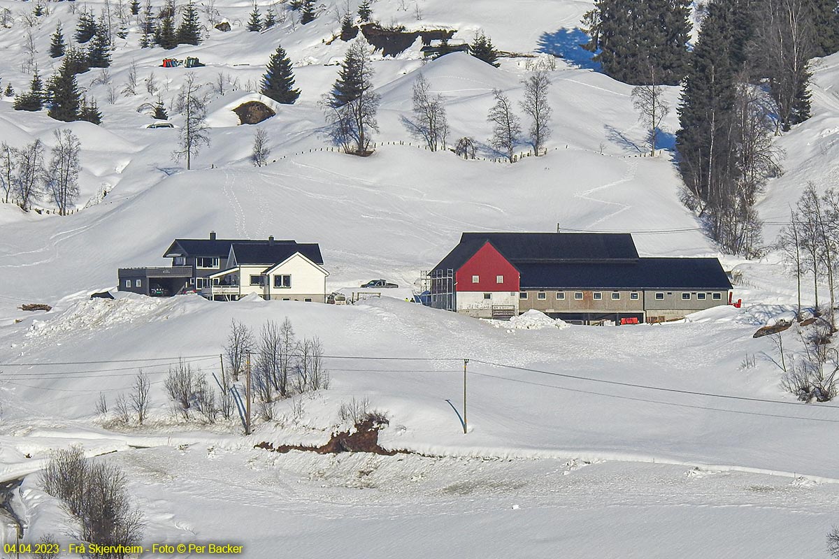 Frå Skjervheim