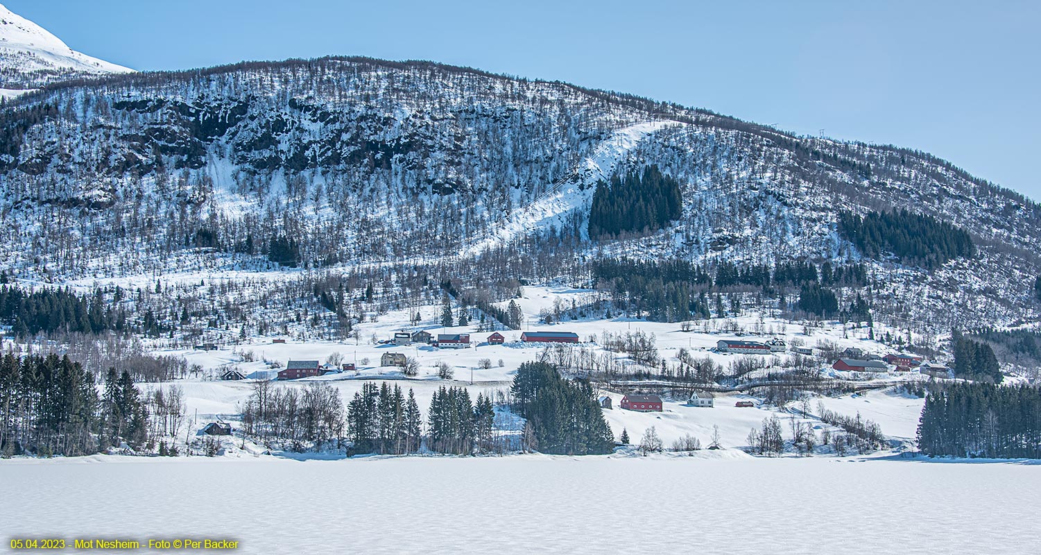 Frå Nesheim