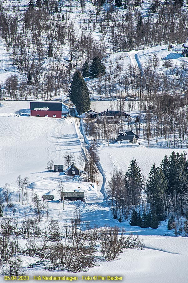 Frå Nesheimshagen