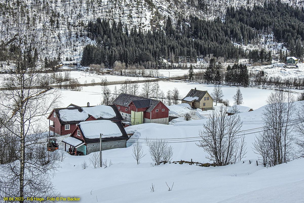 Frå Haga