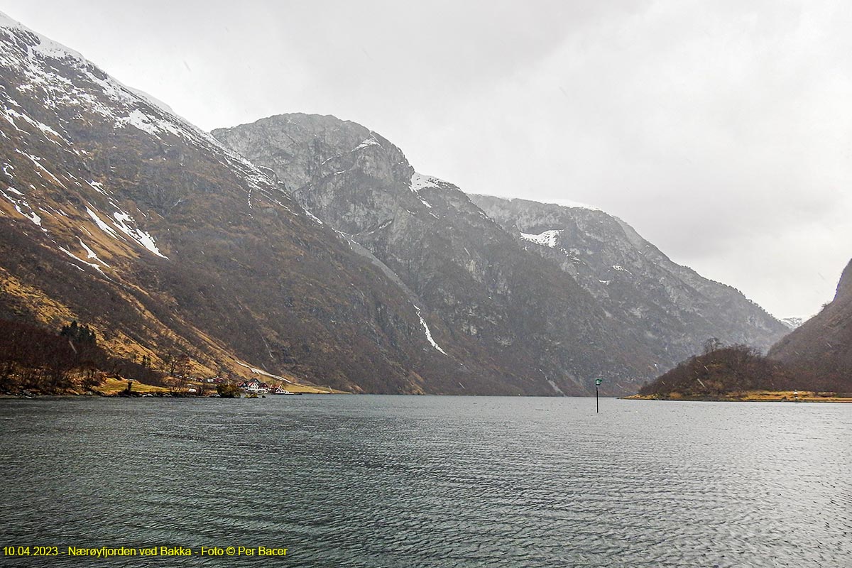 Nærøyfjorden ved Bakka