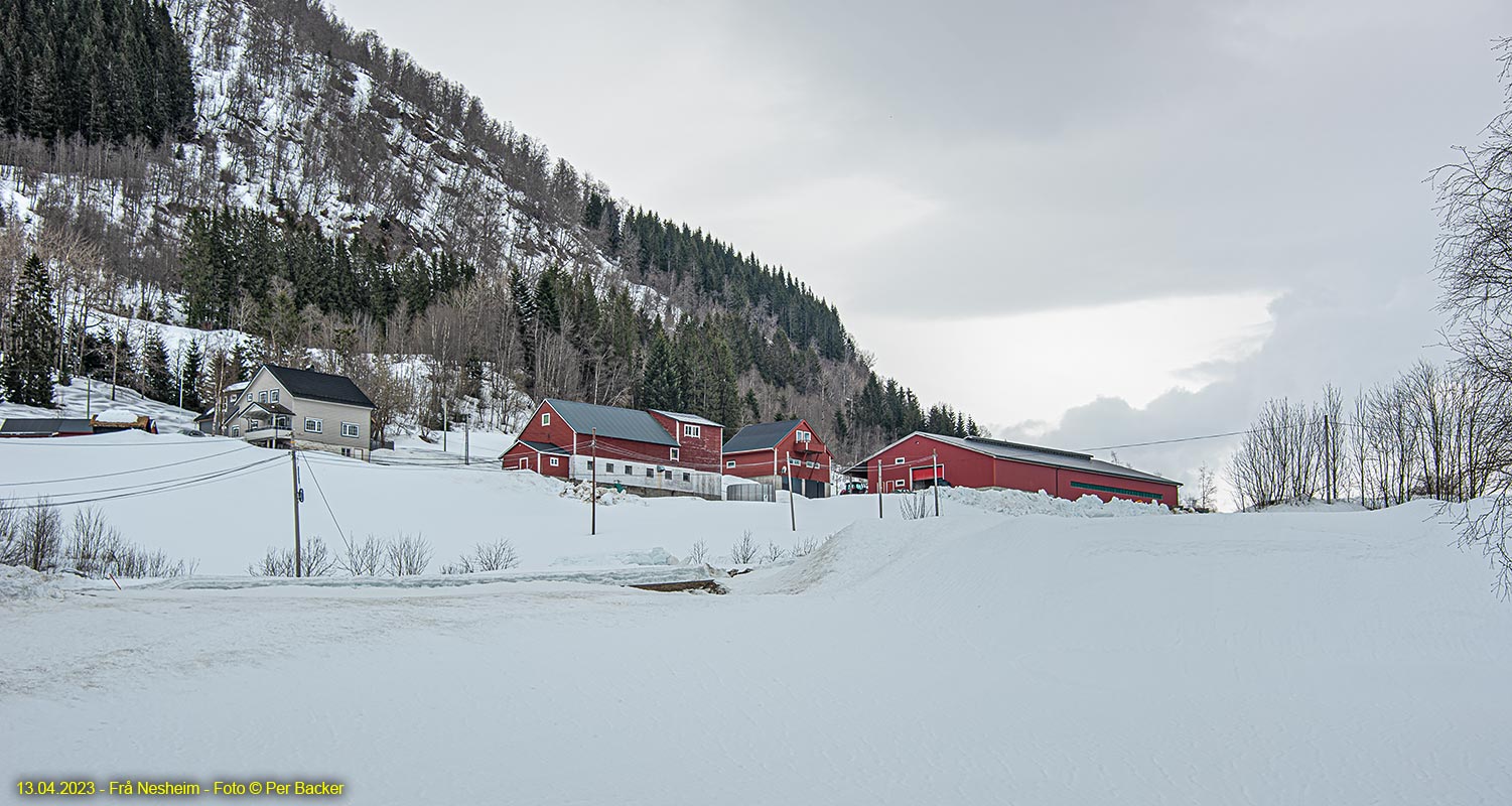 Frå Nesheim