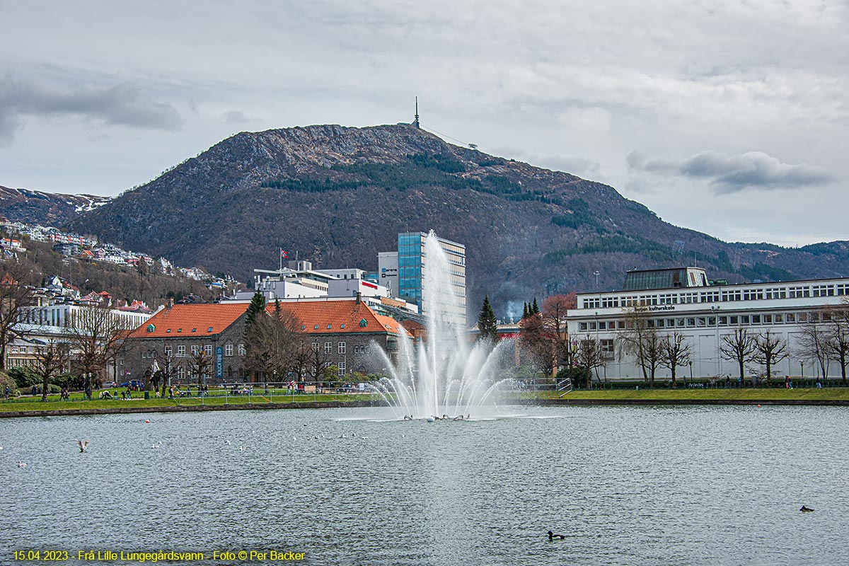 Frå Lille Lungegårdsvann