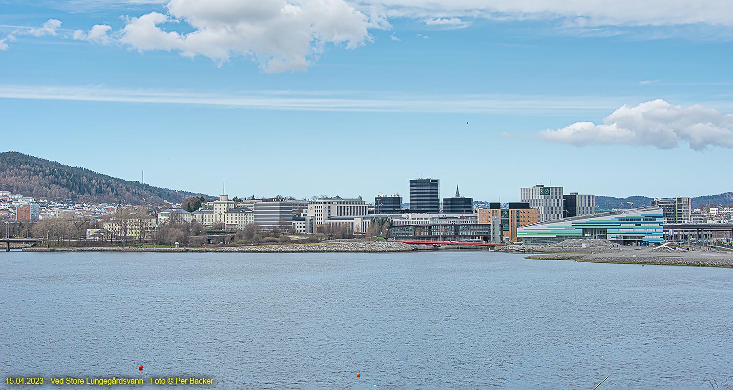 Ved Store Lungegårdsvann