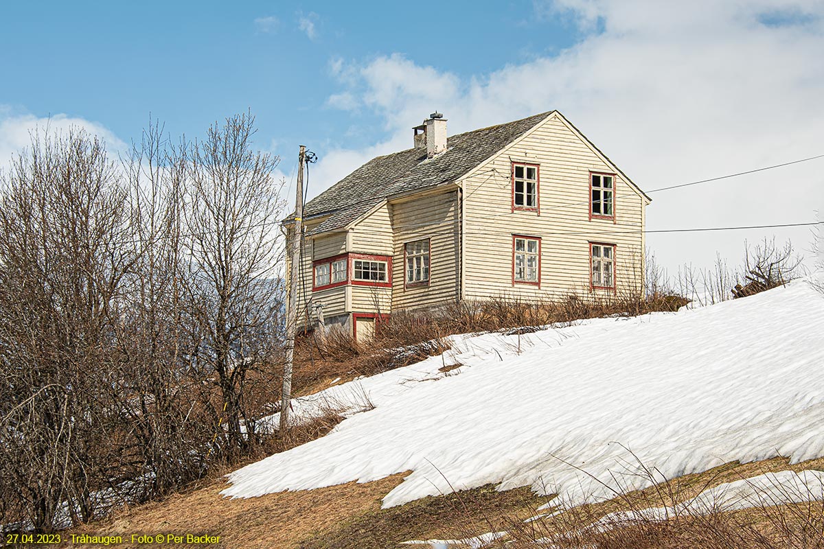 Tråhaugen