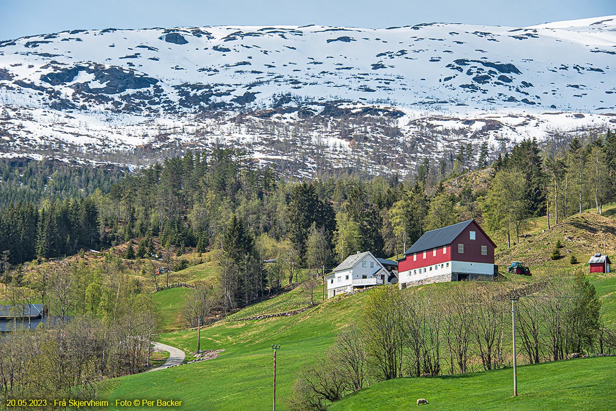 Frå Skjervheim