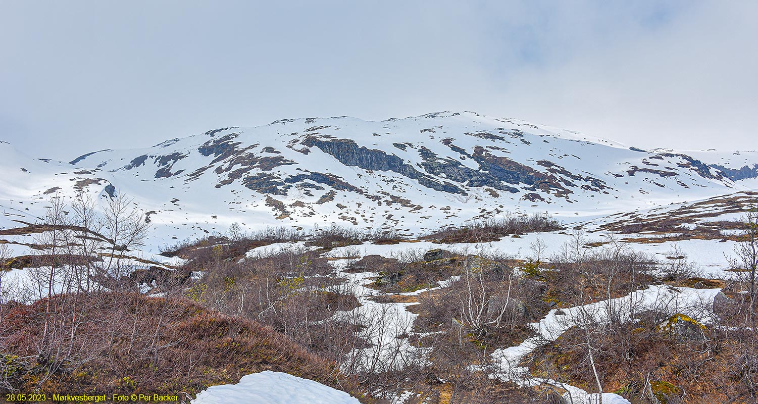 Mørkvesberget