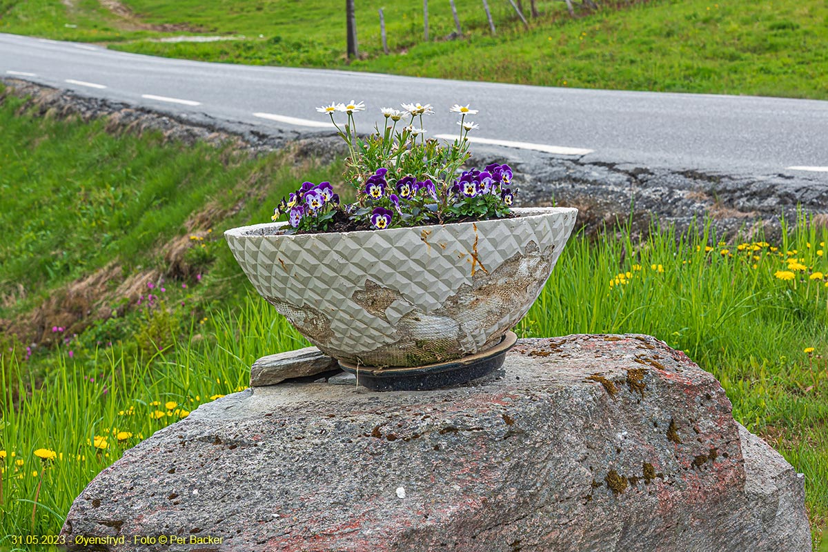Øyensfryd