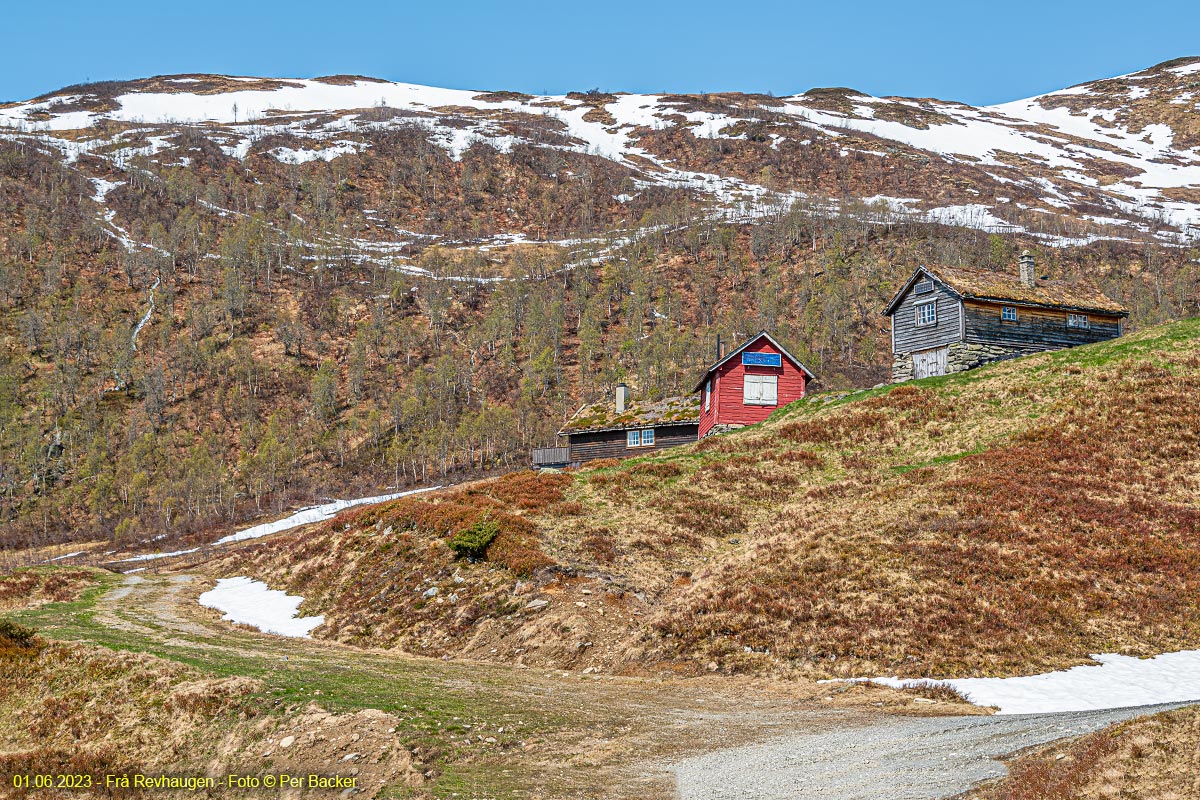 Frå Revhaugen