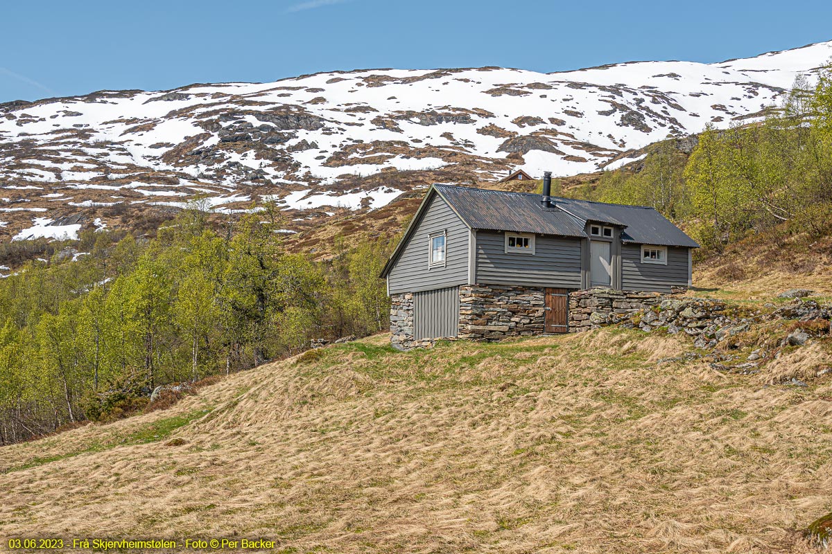 Frå Skjervheimstølen