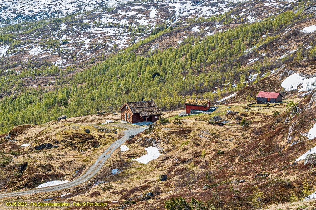 Frå Skjervheimstølen