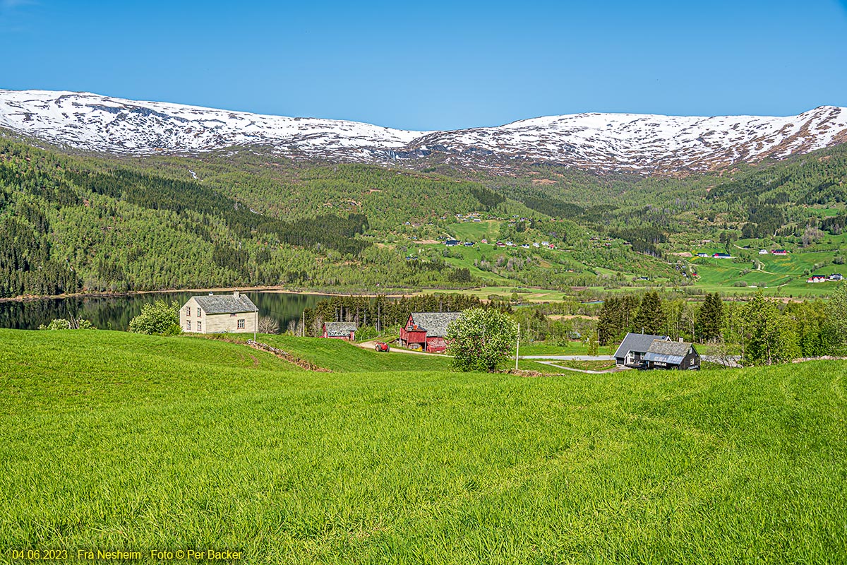 Frå Nesheim