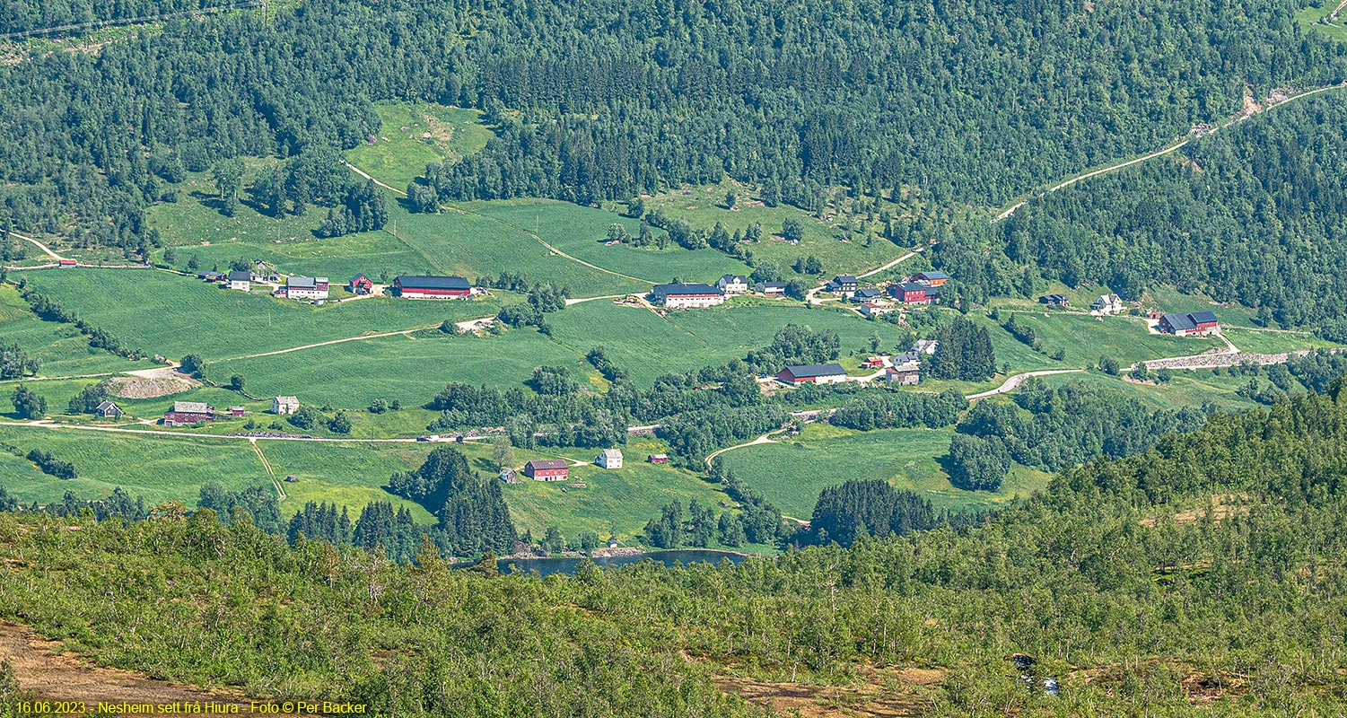 Nesheim sett frå Hiura