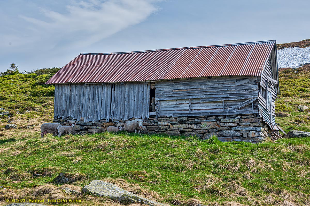 Frå Svoleset