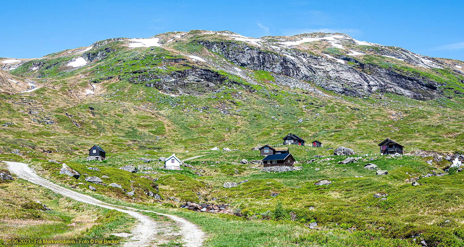 Frå Mørkvesstølen