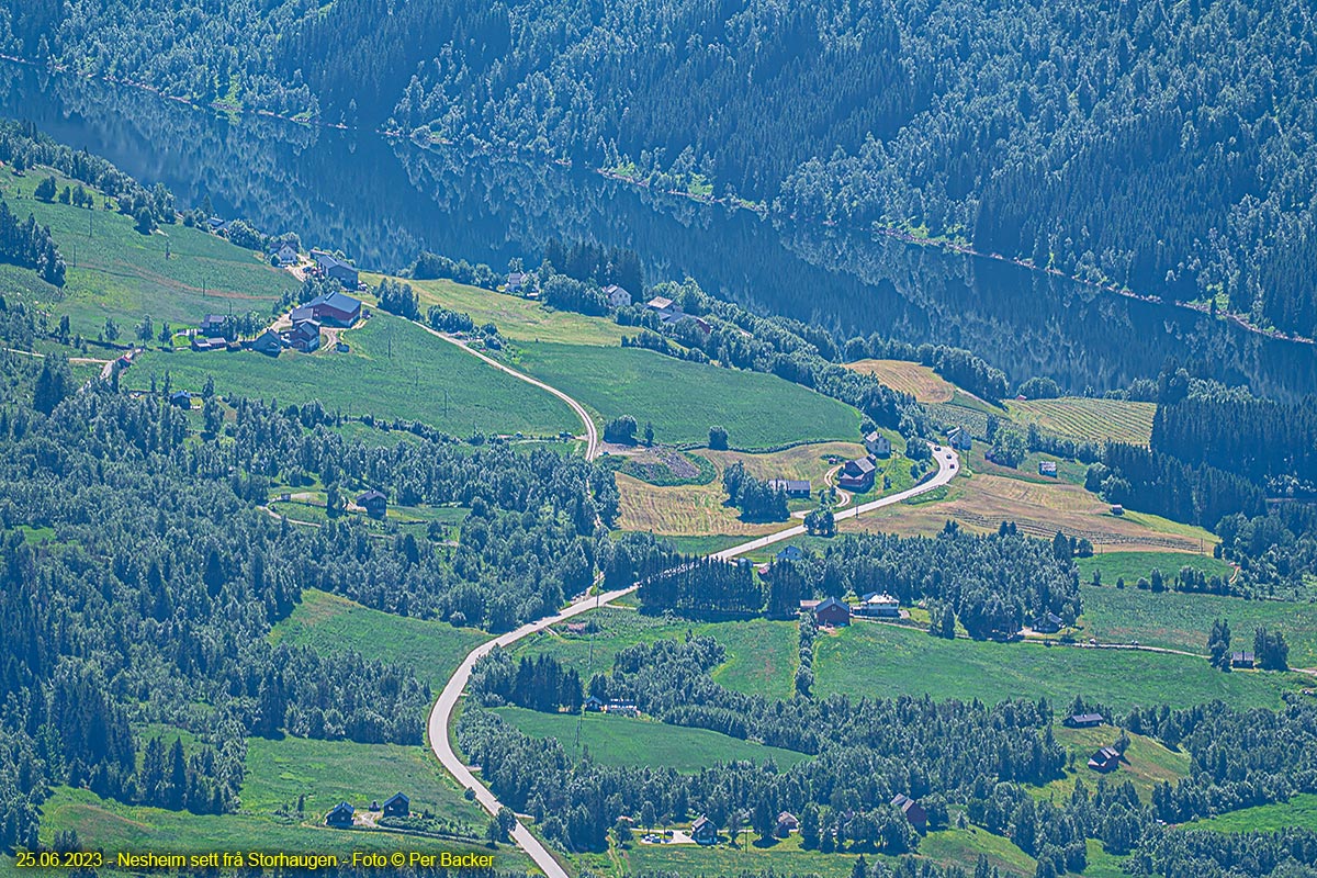 Nesheim sett frå Storhaugen