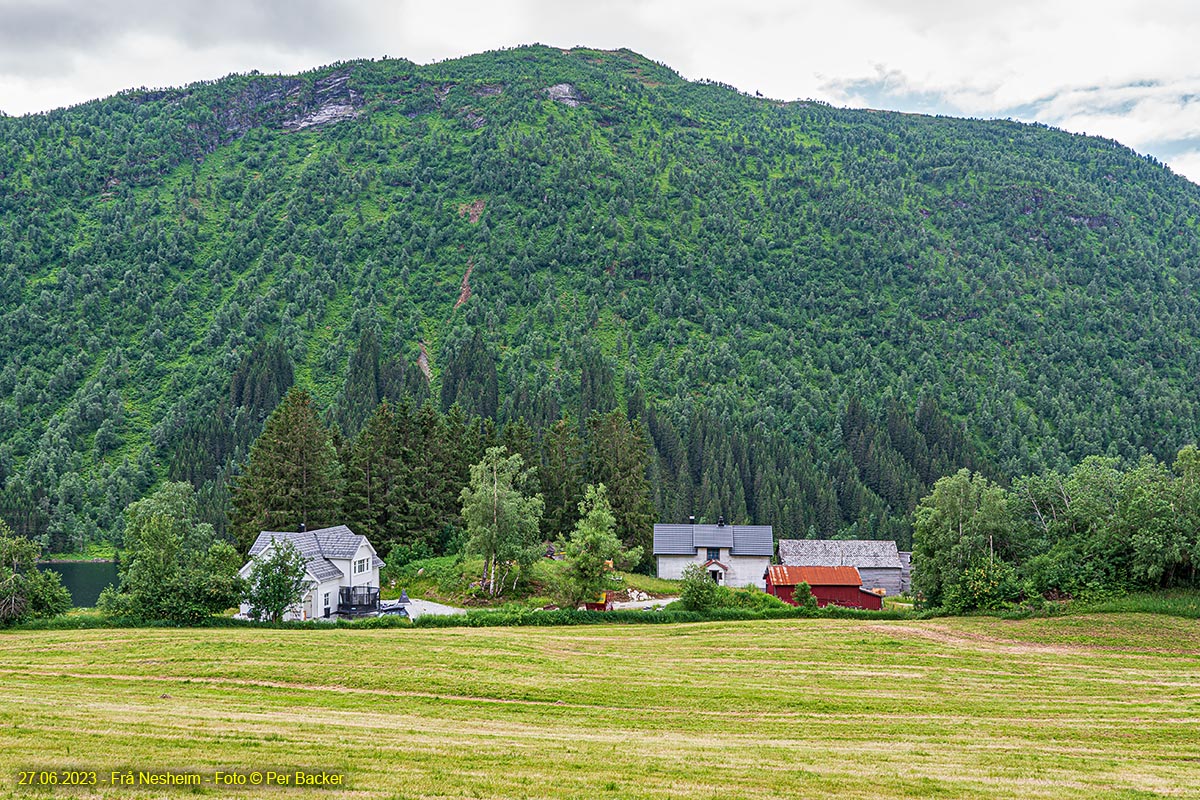 Frå Nesheim