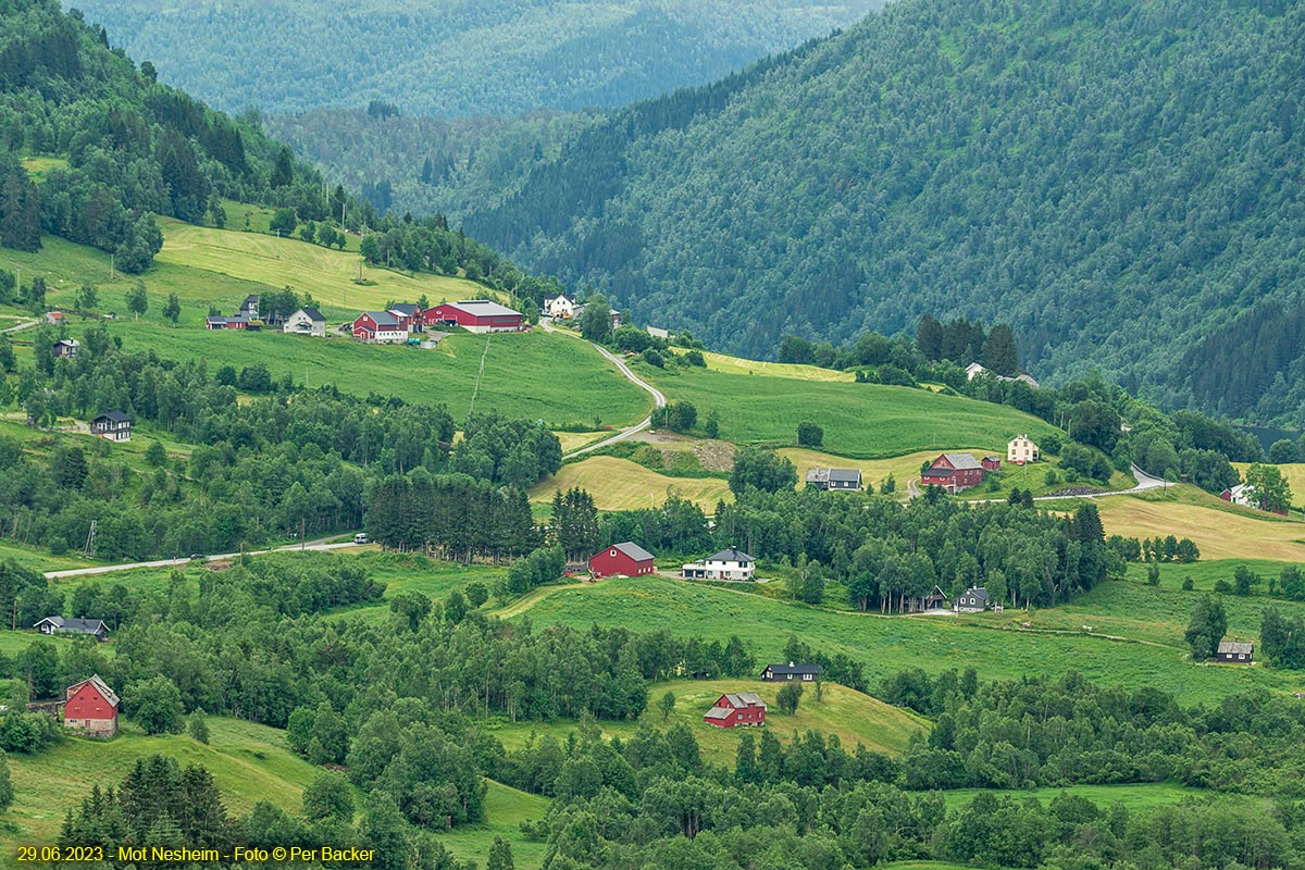 Frå Nesheim