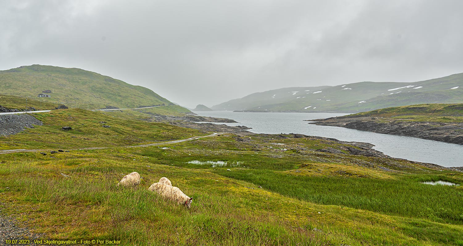 Ved Skjelingavatnet