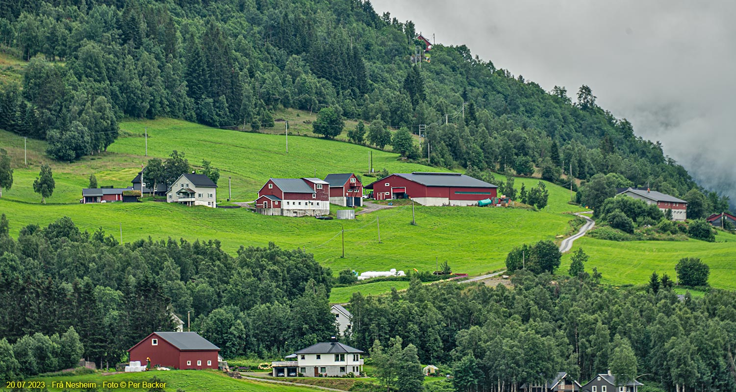 Frå Nesheim