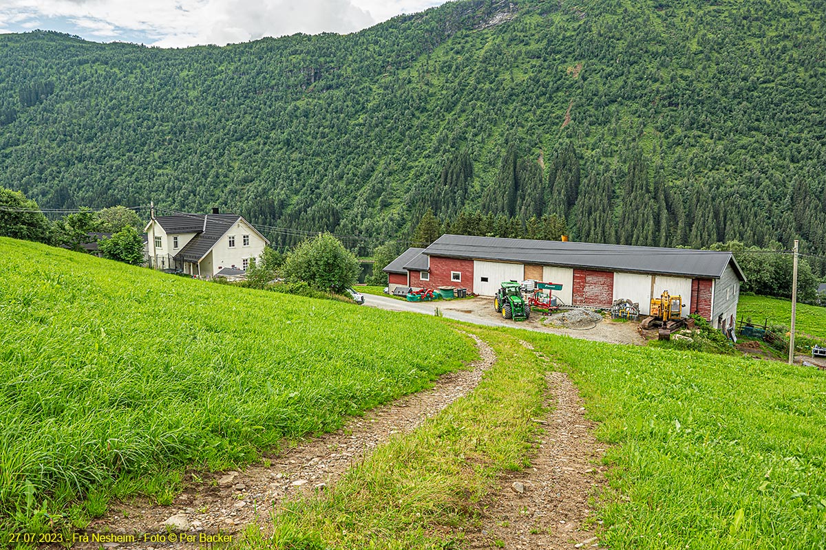 Frå Nesheim