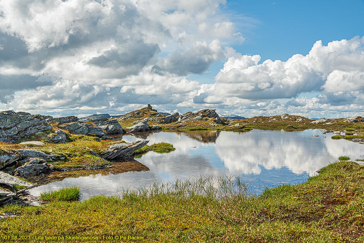 Lita tjødn på Skjelinganosa