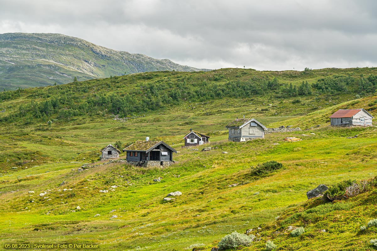 Svoleset