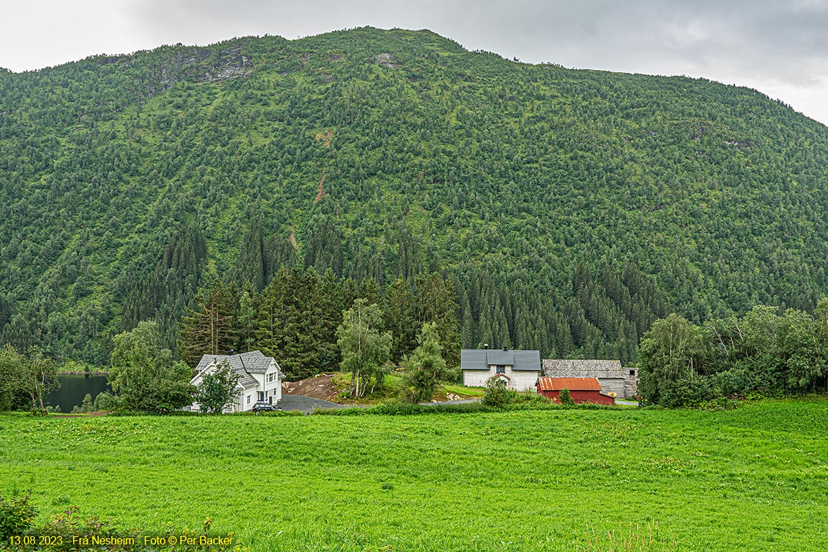 Frå Nesheim