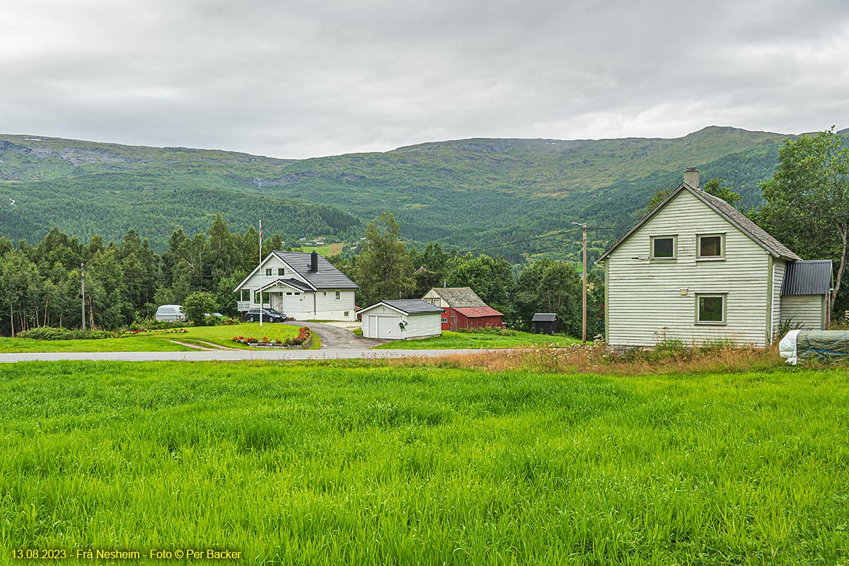 Frå Nesheim