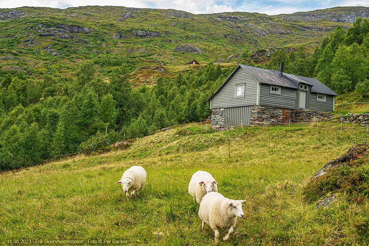 Frå Skjervheimsstølen