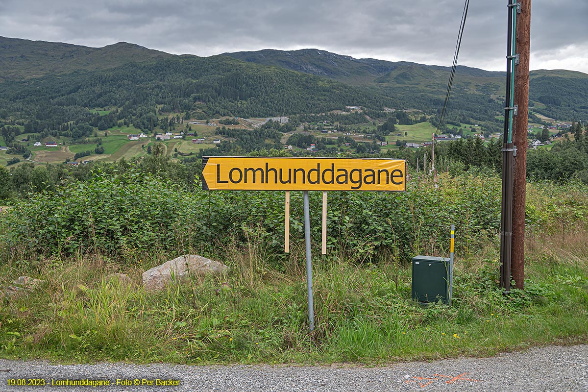 Lomhunddagane