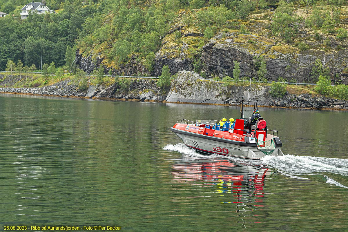 Ribb på Aurlandsfjorden