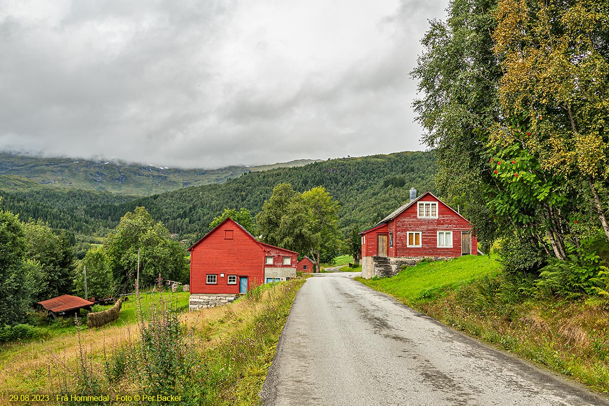 Frå Hommedal