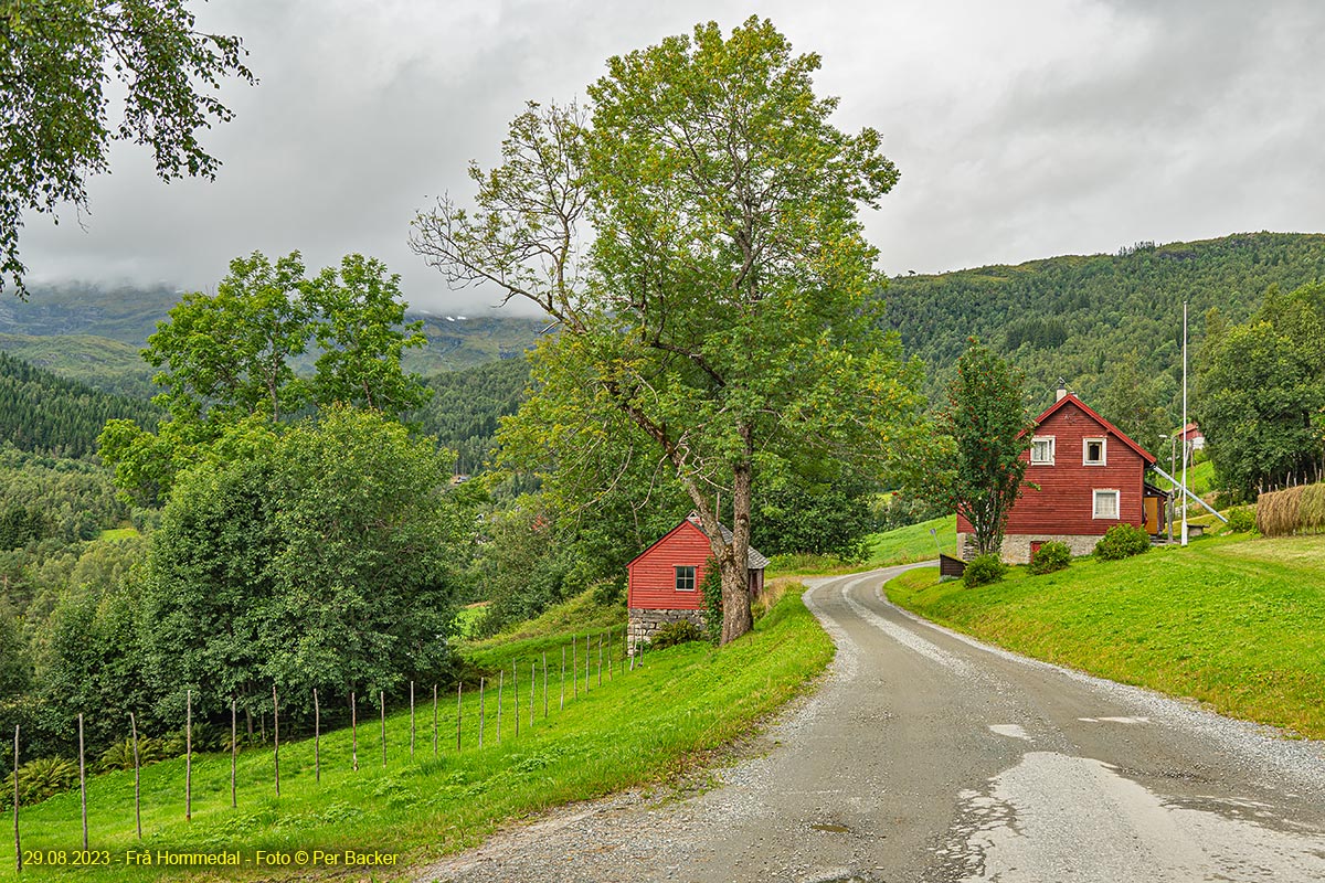 Frå Hommedal