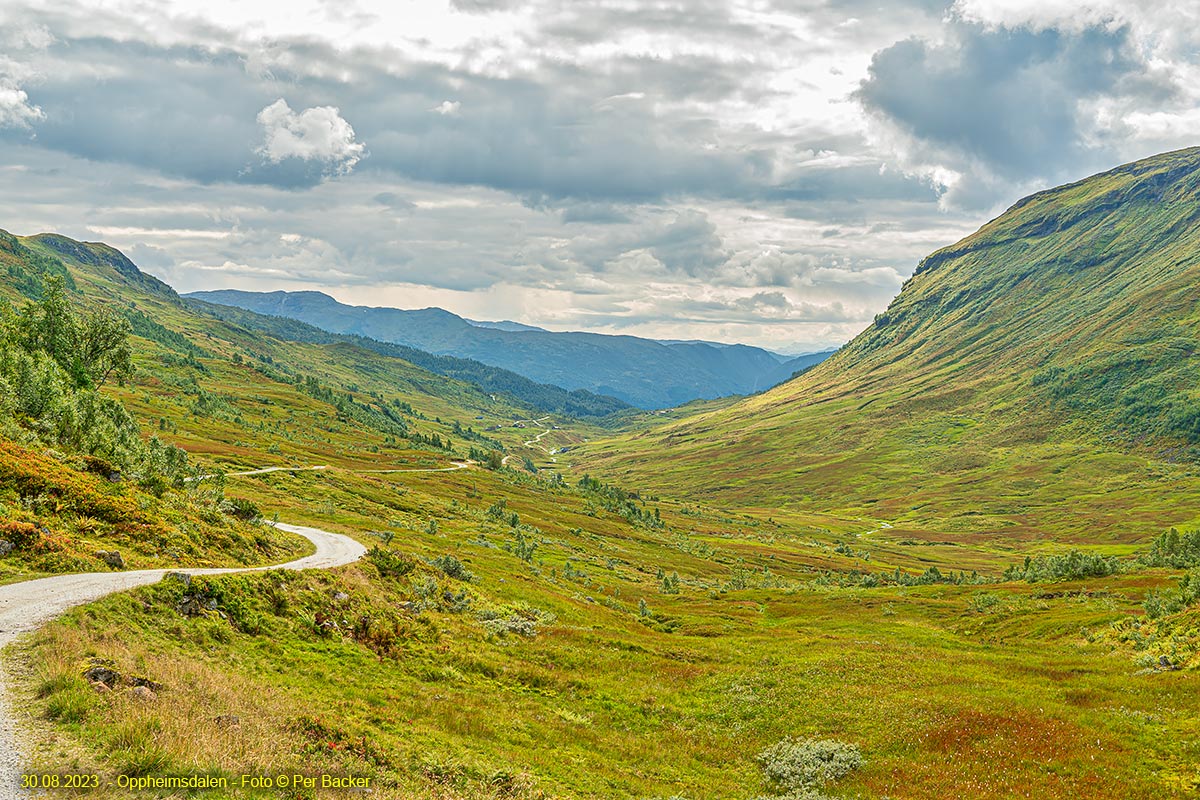 Oppheimsdalen