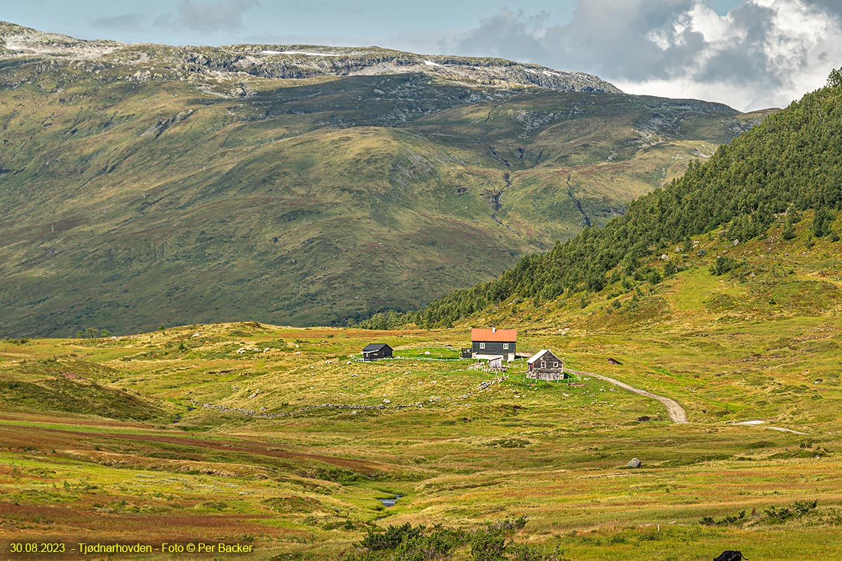 Tjødnarhovden