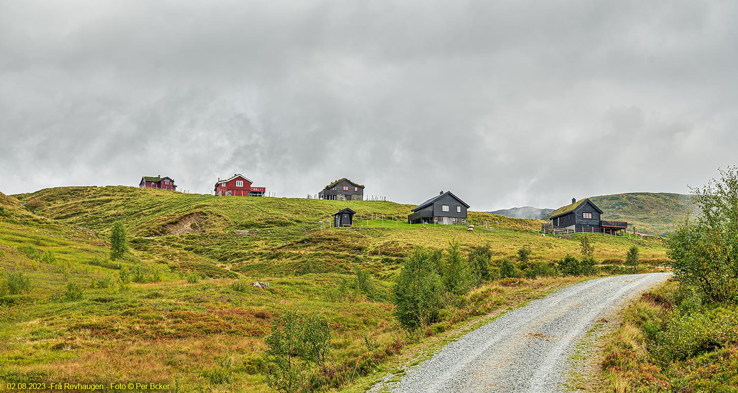 Frå Revhaugen