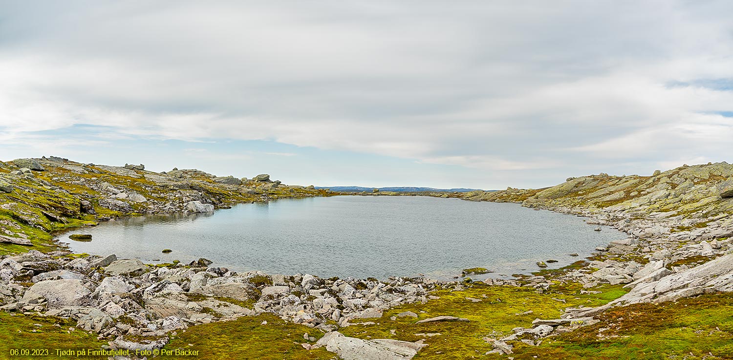 Tjødn på Finnbufjellet