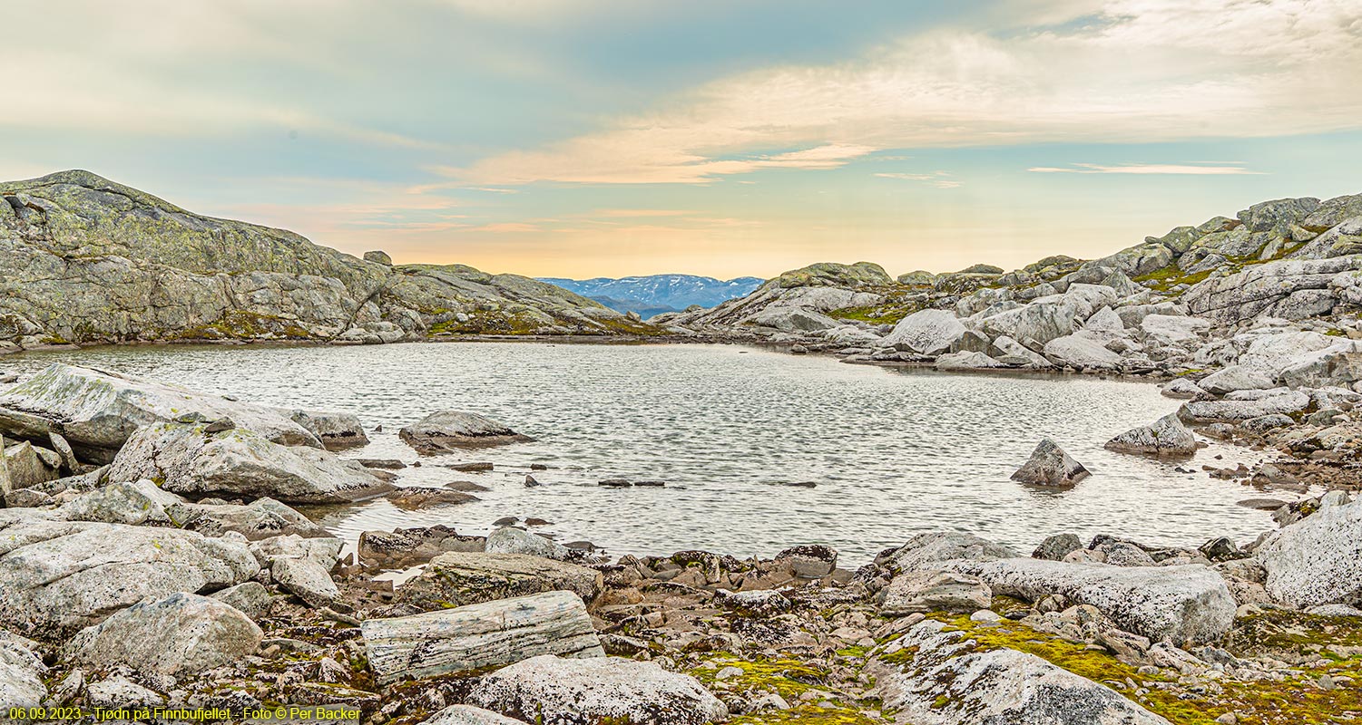 Tjødn på Finnbufjellet