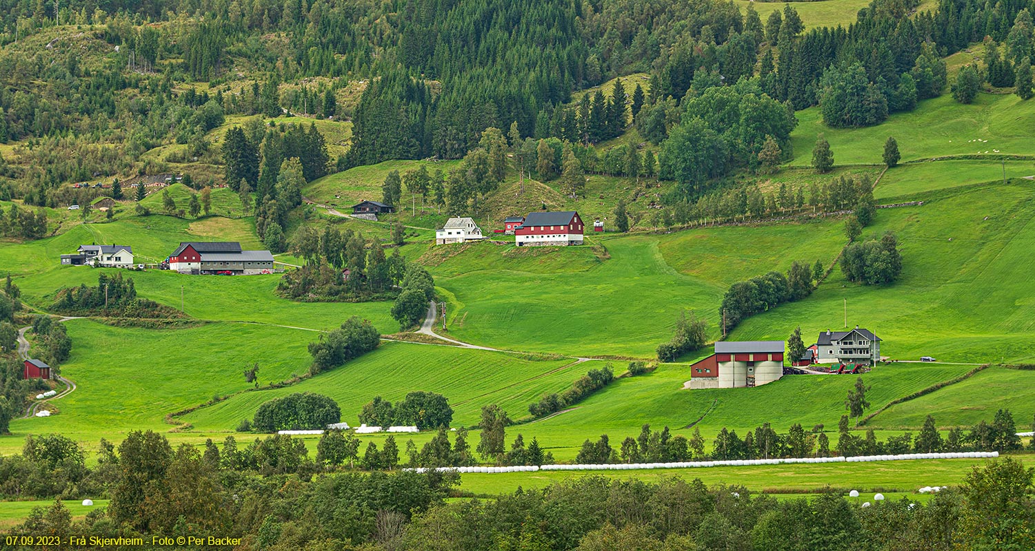 Frå Skjervheim