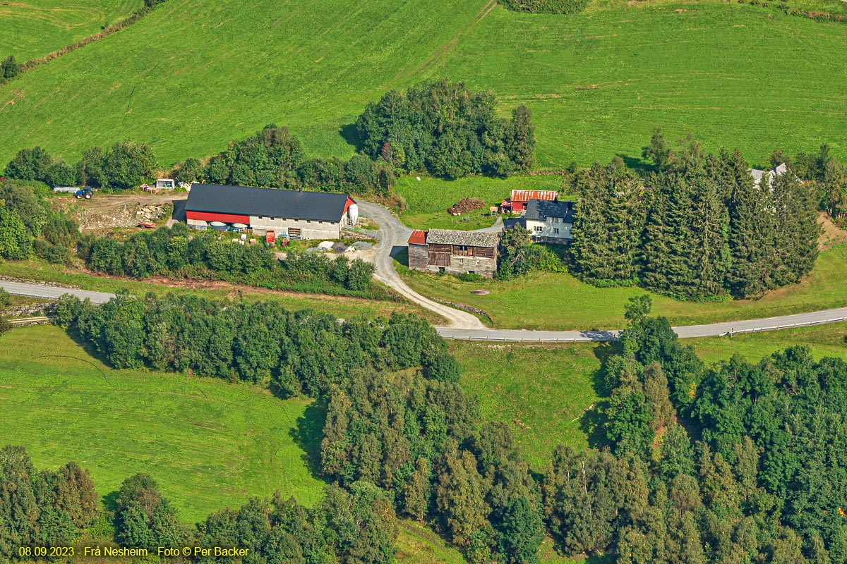 Frå Nesheim